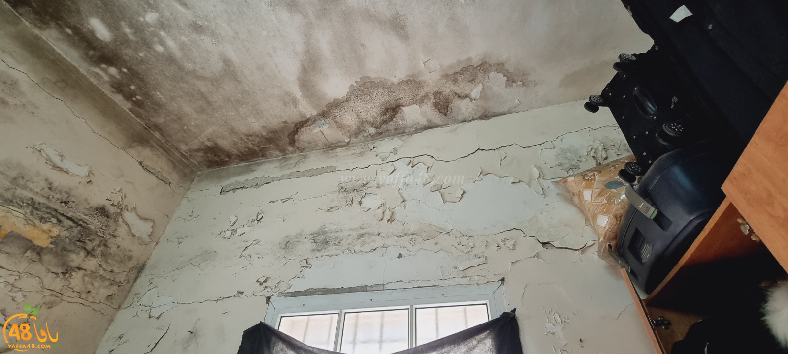 WhatsApp Image 2021-04-21 at 5.17.18 PM (1).jpg